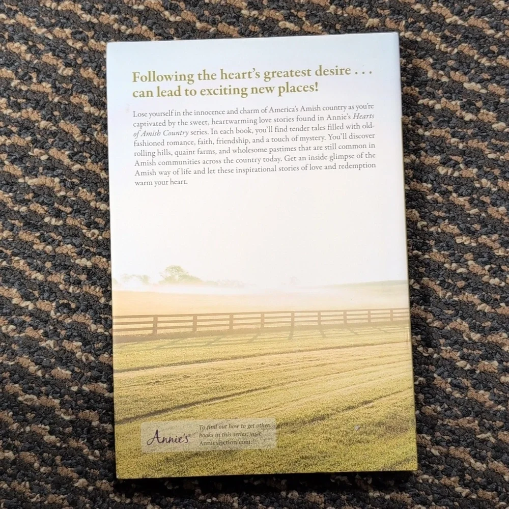 NEW Hearts Of Amish Country Hardcover Bundle Love Comes Quietly Hearts Reunited